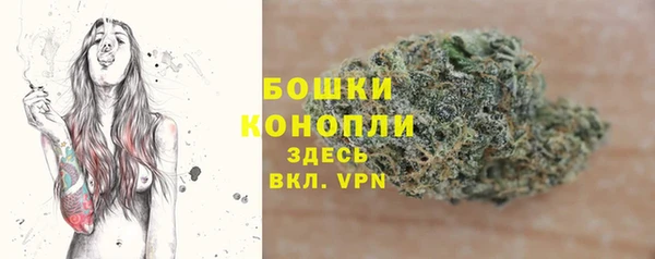 мдпв Бугульма