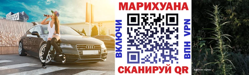 как найти наркотики  Шимановск  Бошки марихуана план 